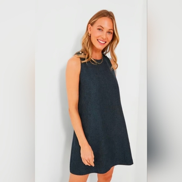 Tuckernuck Dresses & Skirts - Tuckernuck Charcoal Sleeveless A-Line Mini Dress